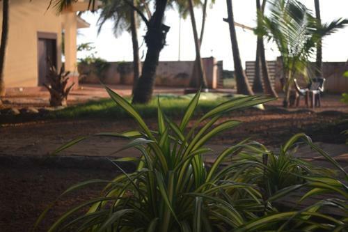 Kizhunnarocks Beach Resort