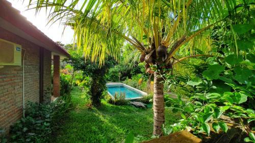 Timbis Homestay Bali