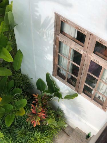 Merry's House