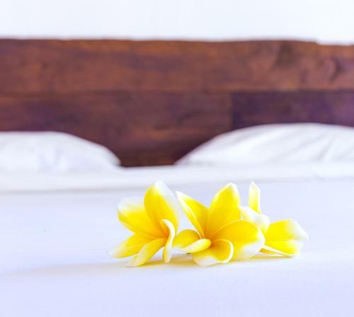 Hostal Big Brother Surf Inn