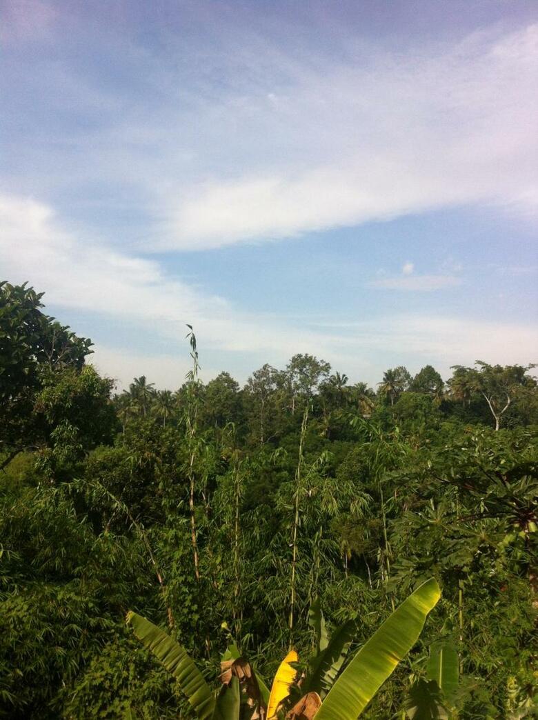 Pondok Bali