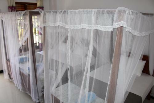 Hostal Orchid Rest