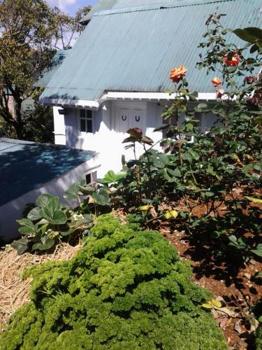 Hostal Guest House Sincere Wilderness