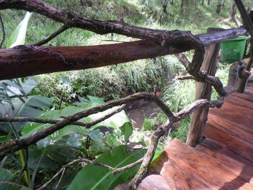 Moon Plains Forest Log