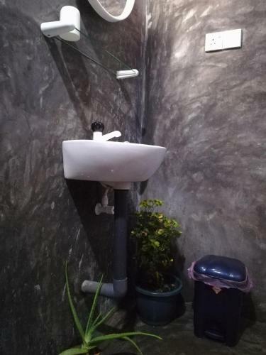 Grand Traverse Homestay
