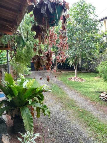 Grand Traverse Homestay