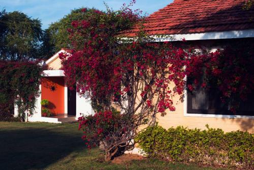 Hotel Pushkar Resort