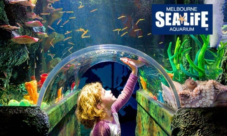 Rendezvous Grand Hotel Melbourne