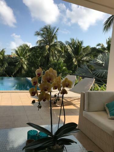 Villa Wild Palms