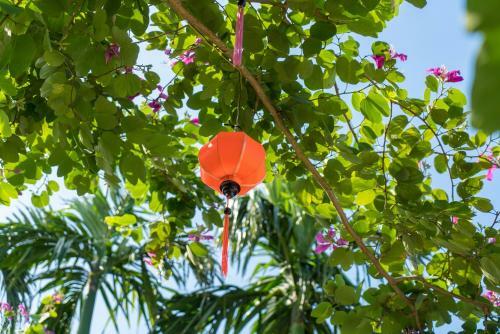 Hoi An Luna Villa Homestay