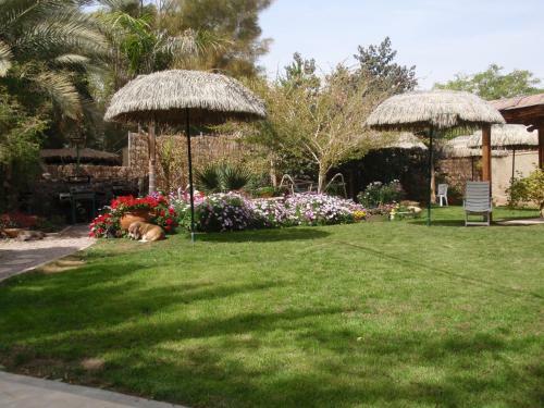 Idan Lodge In The Arava