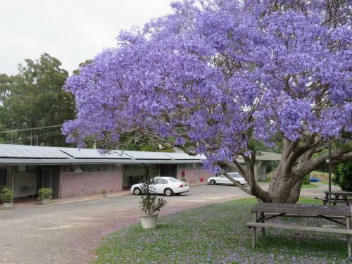 Motel Ecotel Narooma