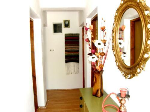 Apartment Lollipop