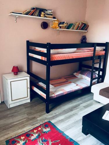 Hostel Musala