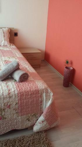 Sofia Stamboliiski Apartment