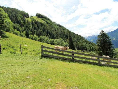 Unterhofer Alm