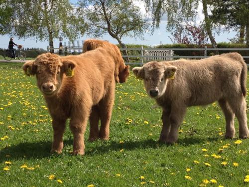 Agroturismo Troldegaarden B&B