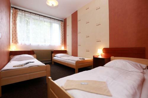 Hotel Zimn� Stadion N�chod