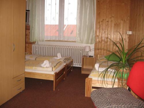 Hostal Penzion Vyso?ina