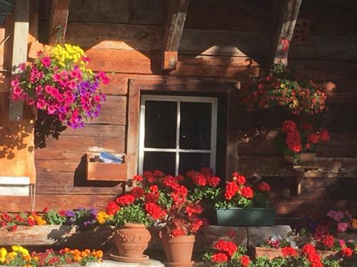 Meizeit H�ttendorf