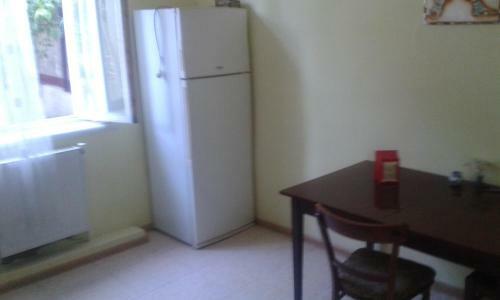 Lemon Hostel