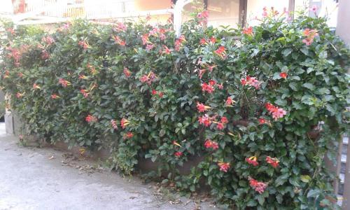 Bed & Breakfast Eurelios