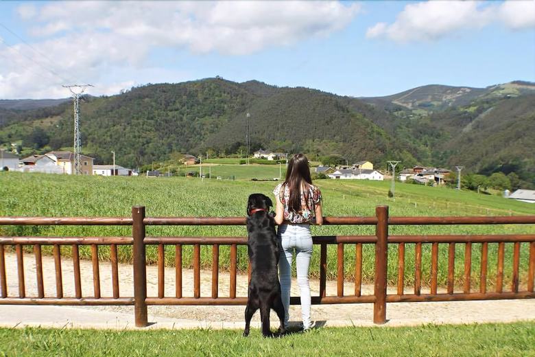 Agroturismo Apartamentos Rurales La Torre