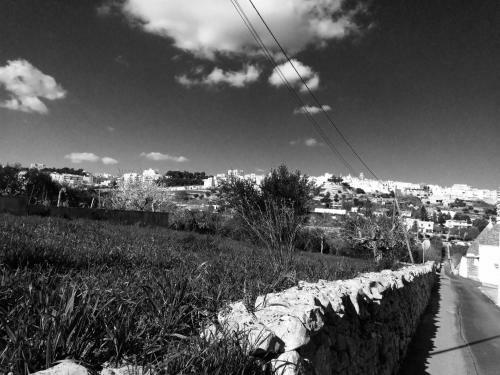 Agroturismo Il Piccolo Trullo