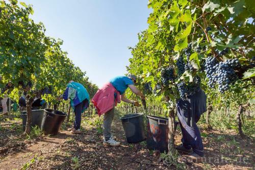 Agroturismo Masseria Ferri
