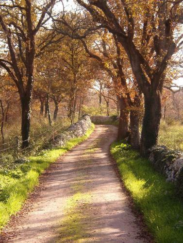 Agroturismo Masseria Ferri