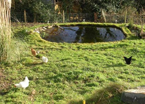 The Pigsty Cottage