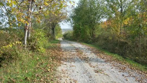 Bed & Breakfast Cascina Torello