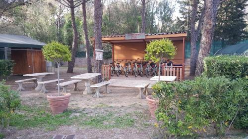 Campeggio Del Forte
