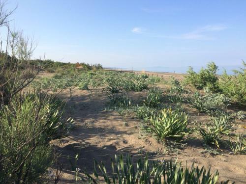 Camping I Melograni