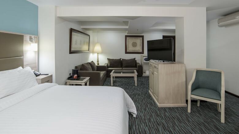 Holiday Inn Hotel & Suites Zona Rosa