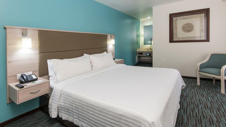 Holiday Inn Hotel & Suites Zona Rosa