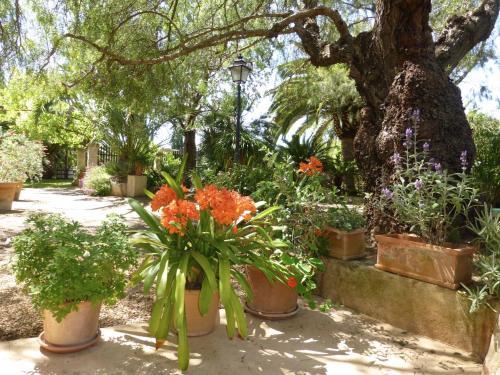 Finca Raims Hotel Interior