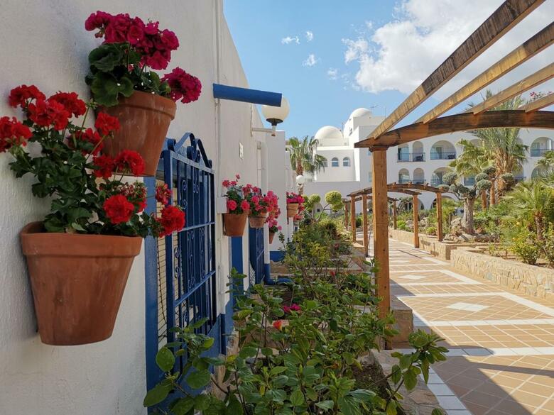 Hotel El Puntazo* Hostal