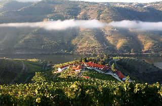 Hotel Quinta Nova - Luxury Winery House
