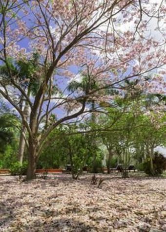 Hacienda San Jose, A Luxury Collection Hotel