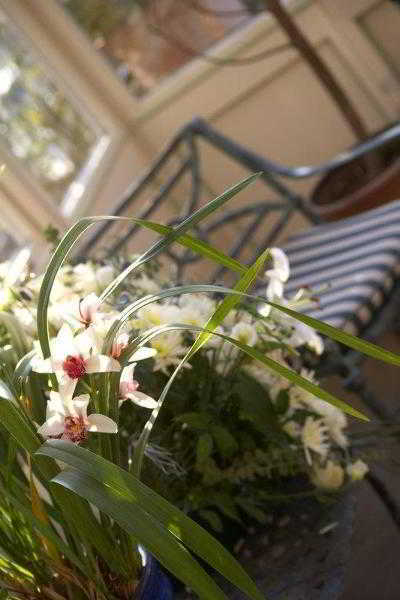 Hotel Best Western Wroxton House