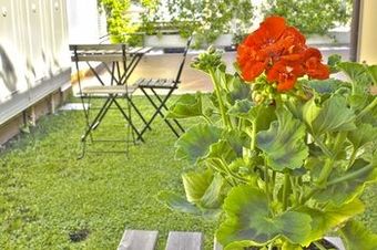 Apartamento La Suite Di San Pietro