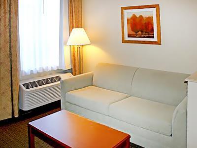 Hotel Comfort Suites Downtown South