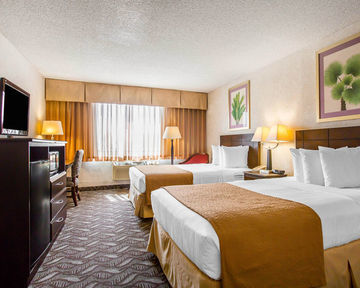 Hotel *quality Inn & Suites*duplicate