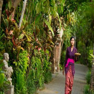Hotel Taman Harum