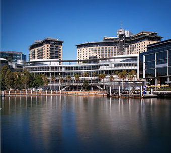 Hotel Star City (superior City View)