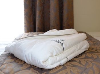 Shepherd's Bush Boutique Hotel