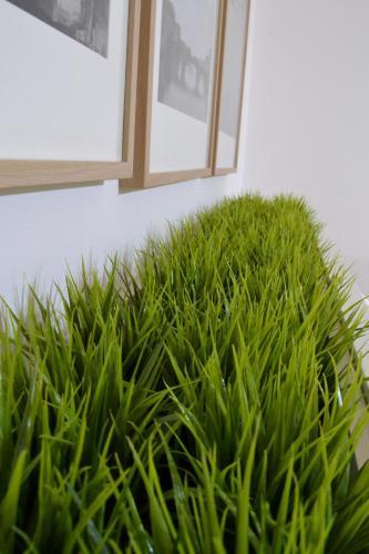Hotel Green Domus