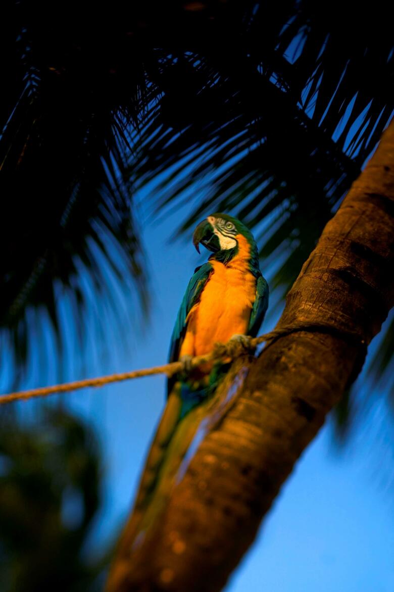 Hotel Hyatt Key West Resort & Spa