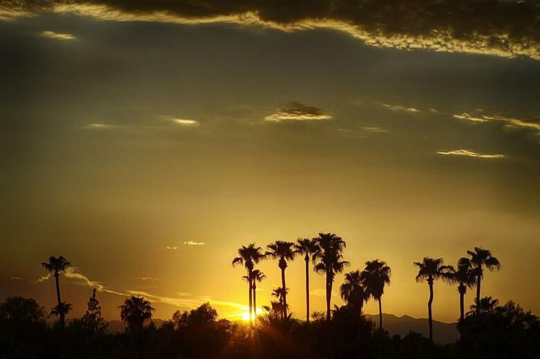 The Clarendon Hotel - Phoenix's Urban Retreat